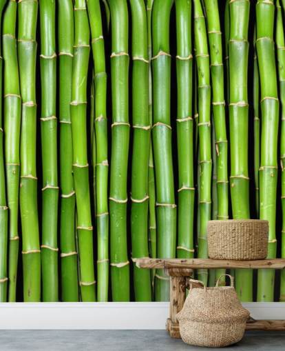 Behang met groene stengels van bamboe
