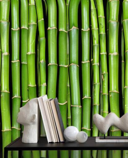 Papel pintado de tallos verdes de bambú
