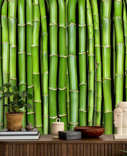Papel de parede de talos verdes de bambu Papel de parede de talos verdes de bambu