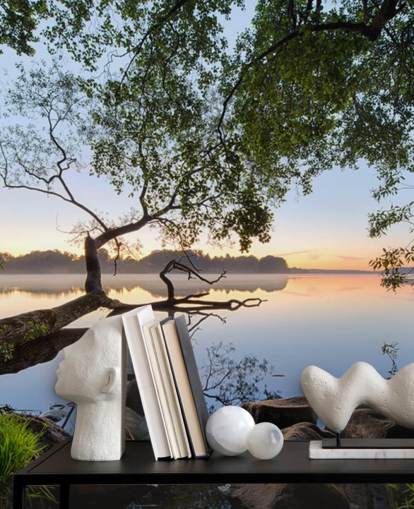 mural de papel de parede de lago tranquilo chamado Lake View by 1x para escritórios domésticos e empresas