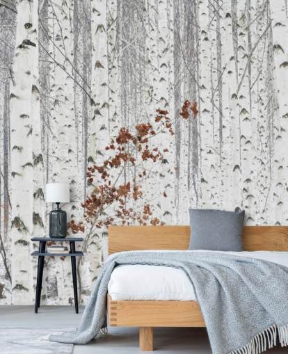 black and white birch tree woodland with touches of autumn leaves wallpaper