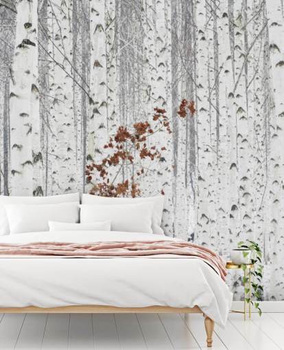 black and white birch tree woodland with touches of autumn leaves wallpaper