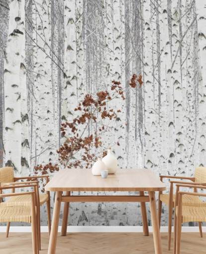 black and white birch tree woodland with touches of autumn leaves wallpaper