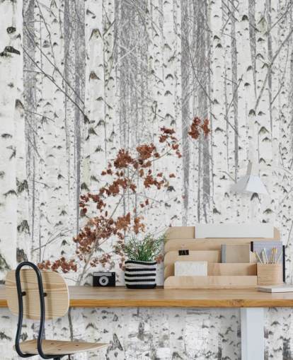 black and white birch tree woodland with touches of autumn leaves wallpaper