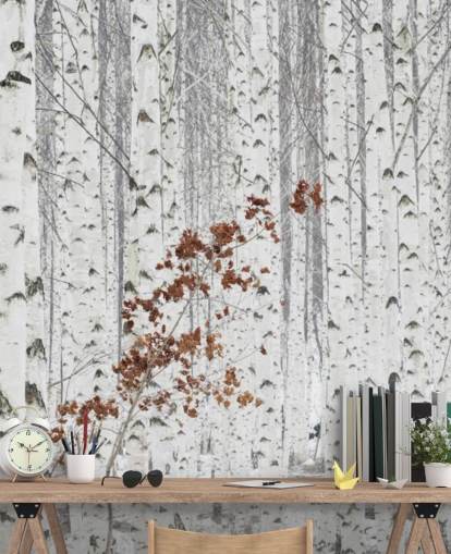 black and white birch tree woodland with touches of autumn leaves wallpaper