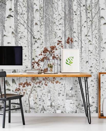 svart och vitt björk skogsmark med inslag av höstlöv tapeter