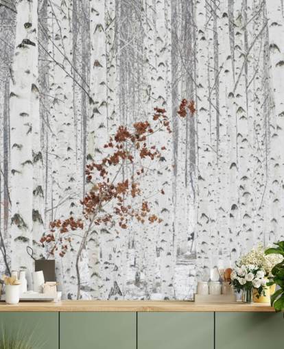 black and white birch tree woodland with touches of autumn leaves wallpaper black and white birch tree woodland with touches of autumn leaves wallpaper