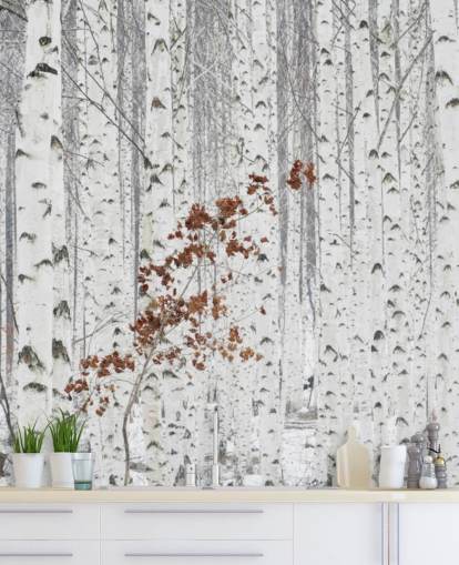black and white birch tree woodland with touches of autumn leaves wallpaper