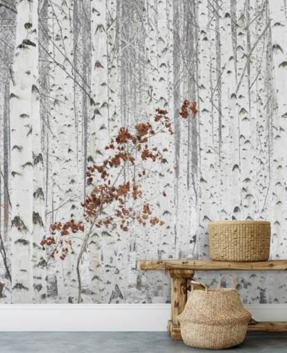 bois de bouleaux noir et blanc avec des touches de feuilles d'automne papier peint bois de bouleaux noir et blanc avec des touches de feuilles d'automne papier peint