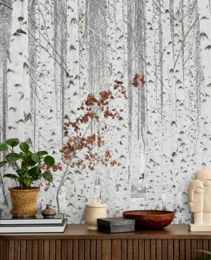 zwart-wit berkenboombos met accenten van herfstbladeren behang