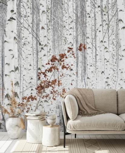 black and white birch tree woodland with touches of autumn leaves wallpaper