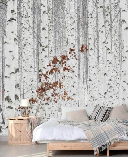 legno di betulla in bianco e nero con tocchi di foglie autunnali carta da parati legno di betulla in bianco e nero con tocchi di foglie autunnali carta da parati