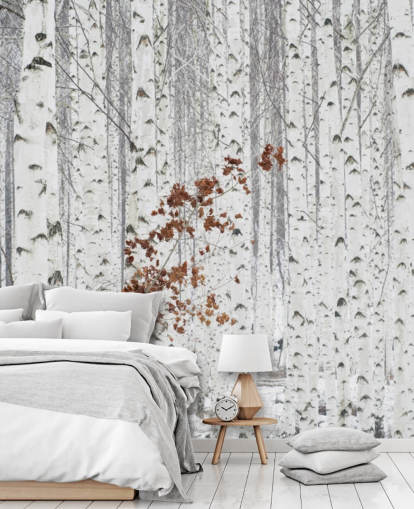 black and white birch tree woodland with touches of autumn leaves wallpaper