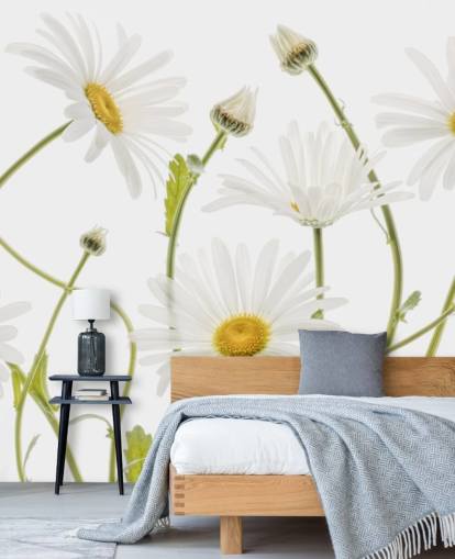 grandes marguerites poussant du papier peint au sol