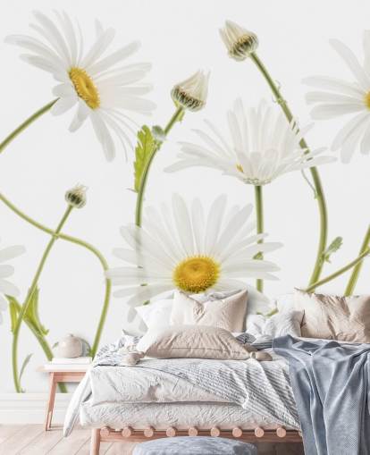 large daisies growing from ground wallpaper