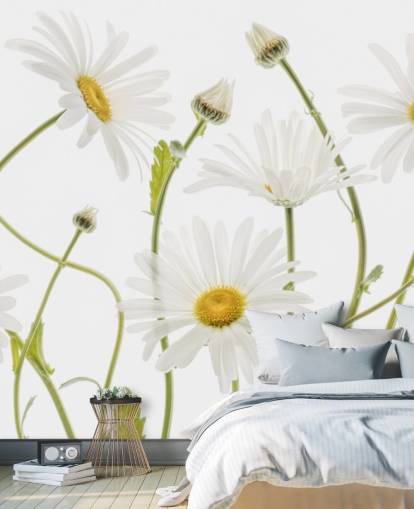 grandes marguerites poussant du papier peint au sol grandes marguerites poussant du papier peint au sol