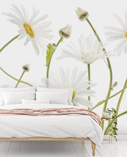 large daisies growing from ground wallpaper
