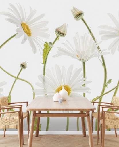 large daisies growing from ground wallpaper