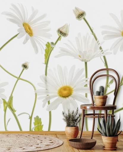 large daisies growing from ground wallpaper