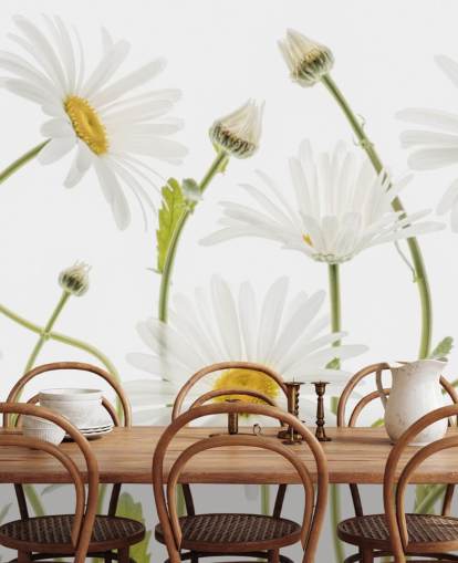 large daisies growing from ground wallpaper