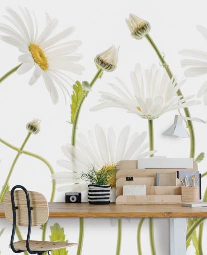 large daisies growing from ground wallpaper