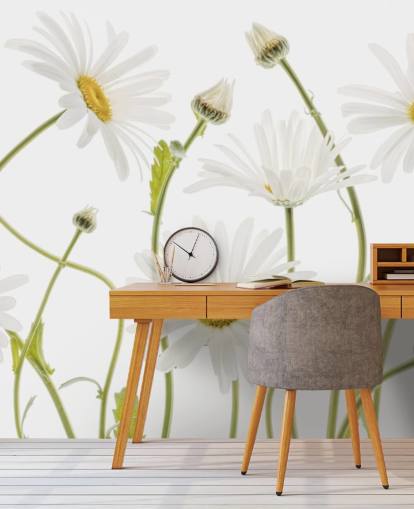 large daisies growing from ground wallpaper