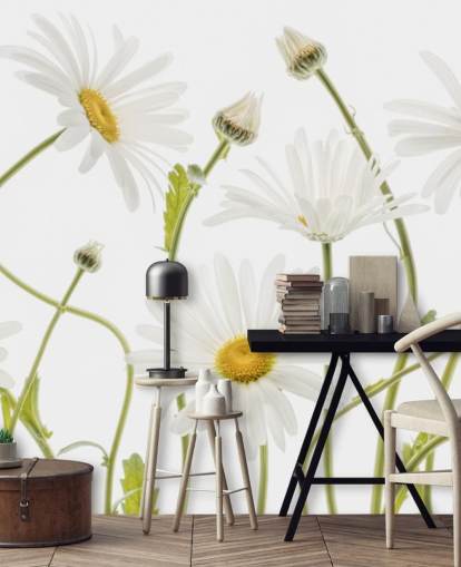 large daisies growing from ground wallpaper