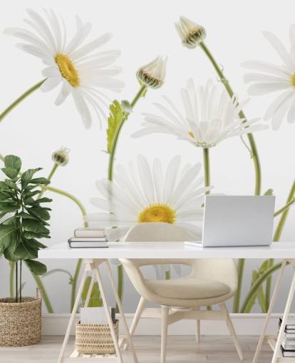 large daisies growing from ground wallpaper