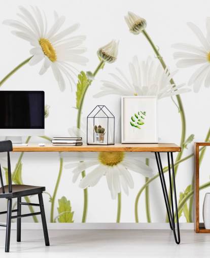 large daisies growing from ground wallpaper