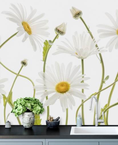 margaritas grandes que crecen del papel tapiz molido