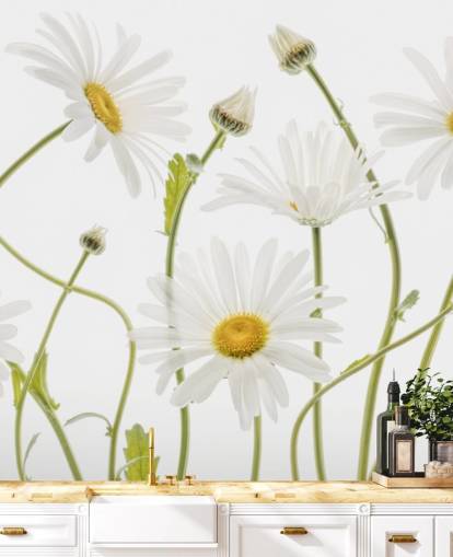 large daisies growing from ground wallpaper