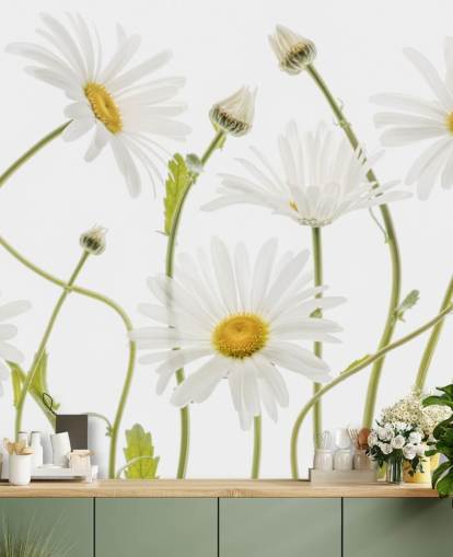 large daisies growing from ground wallpaper