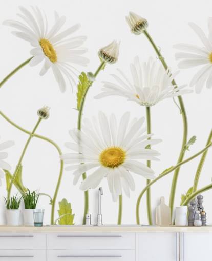 large daisies growing from ground wallpaper