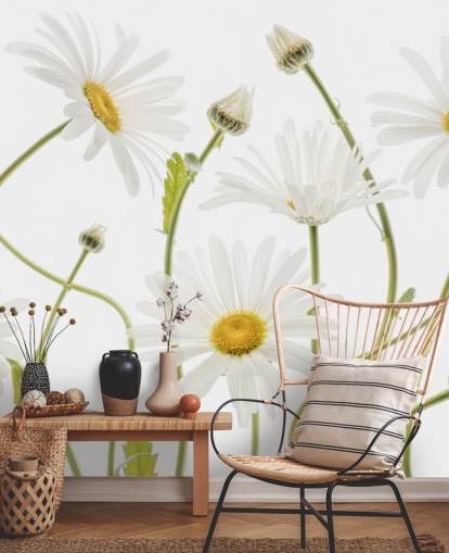 large daisies growing from ground wallpaper large daisies growing from ground wallpaper