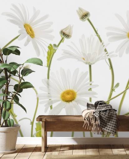 large daisies growing from ground wallpaper