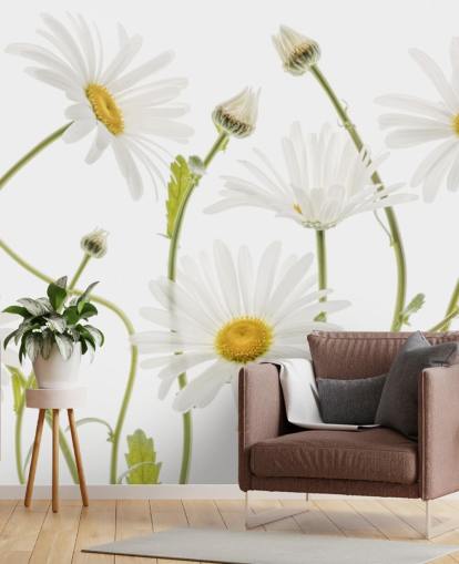 grote margrieten groeien van grondbehang