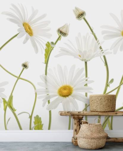 large daisies growing from ground wallpaper