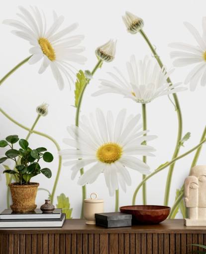 large daisies growing from ground wallpaper