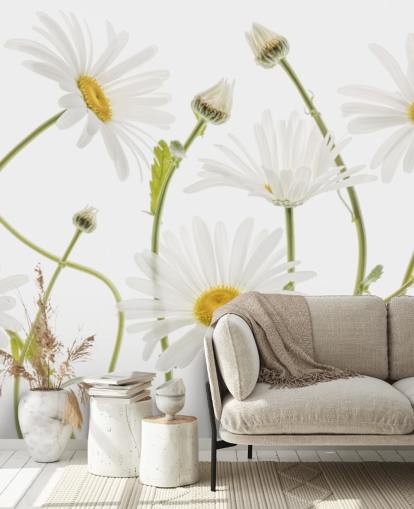 large daisies growing from ground wallpaper