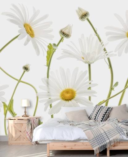 large daisies growing from ground wallpaper