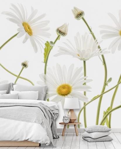 large daisies growing from ground wallpaper