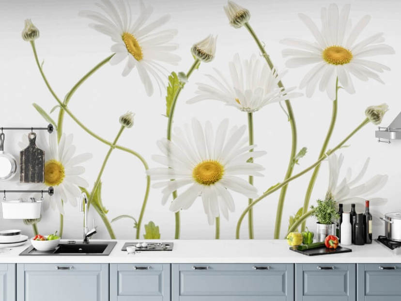 grandes marguerites poussant du papier peint au sol