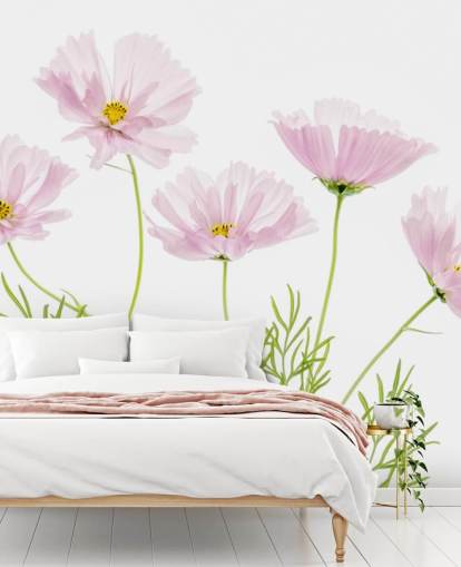 pink flower growing from ground wallpaper
