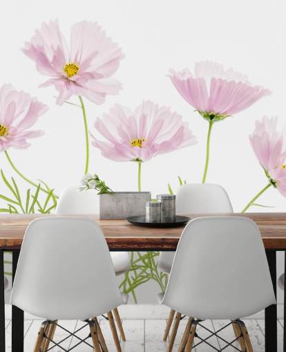 roze bloem groeit van grondbehang roze bloem groeit van grondbehang