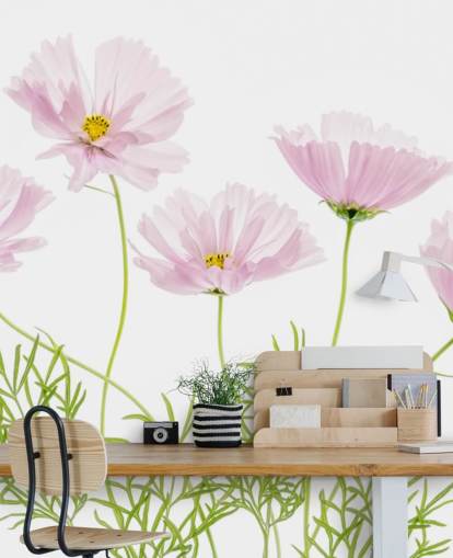 pink flower growing from ground wallpaper