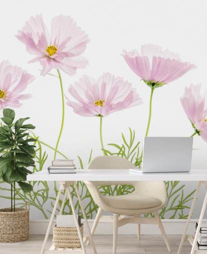 pink flower growing from ground wallpaper