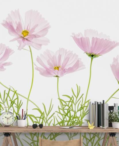 pink flower growing from ground wallpaper pink flower growing from ground wallpaper