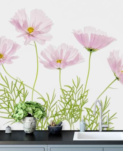 pink flower growing from ground wallpaper