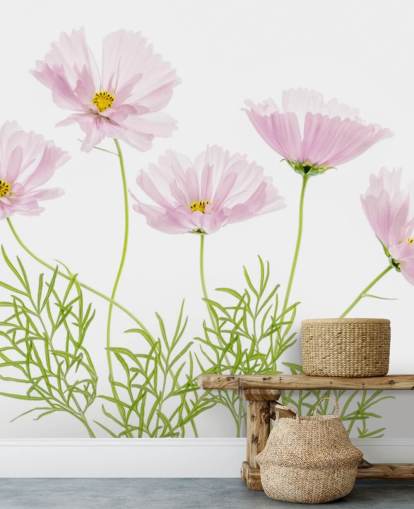 pink flower growing from ground wallpaper