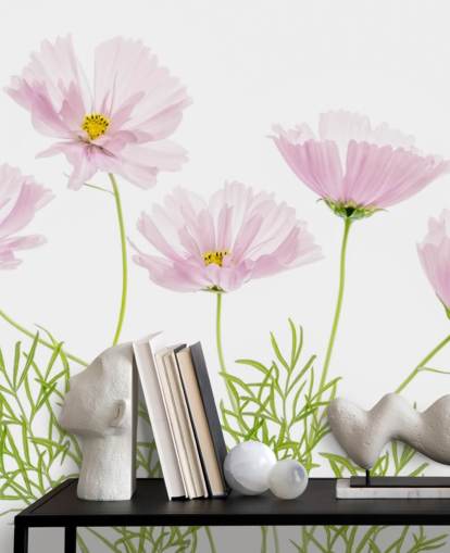 pink flower growing from ground wallpaper